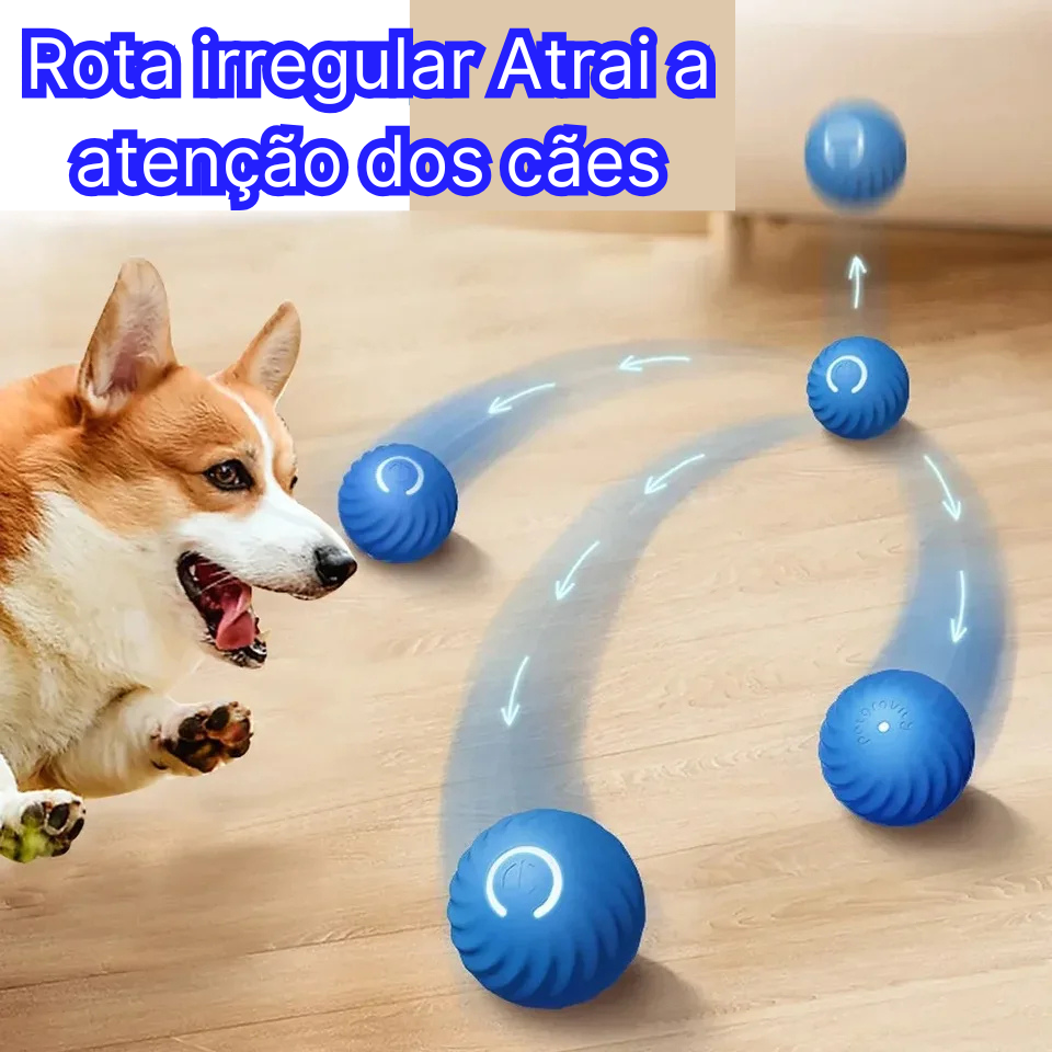 Bola Inteligente Recarregável para Cães - Colleira