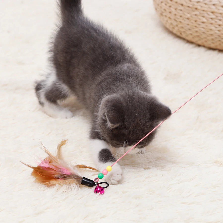 Varinha Interativa com Pena para Gatos - Colleira