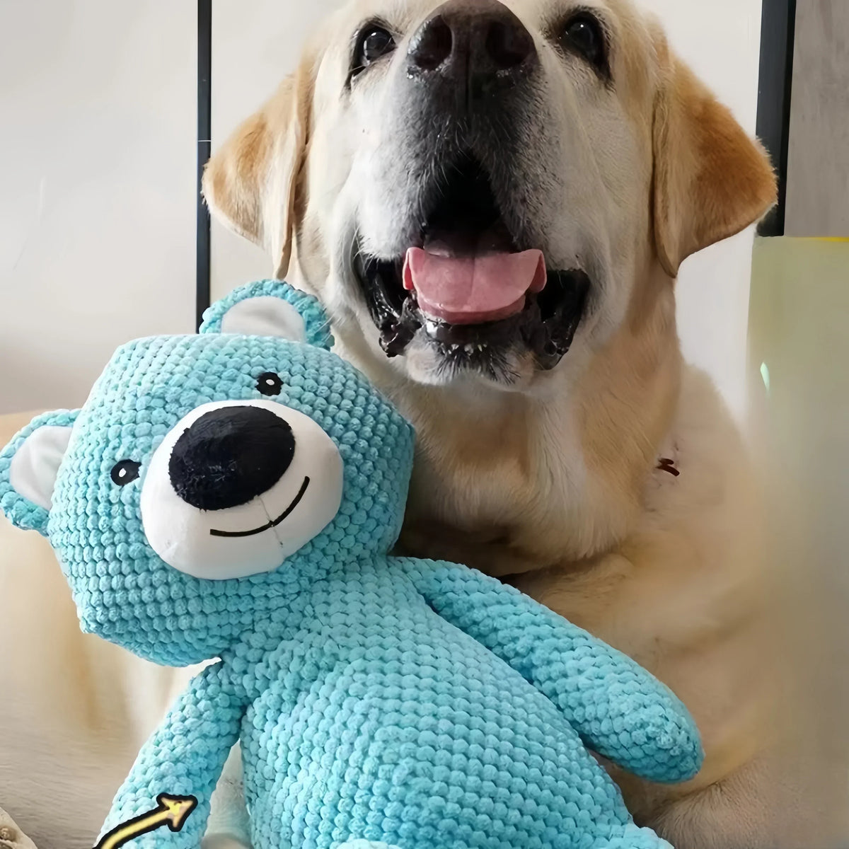 Brinquedo de Pelúcia Urso com Som para Cães - Colleira