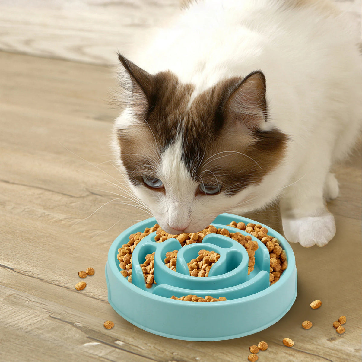 Tigela Alimentação Lenta Anti-Gulping para Pets - Colleira