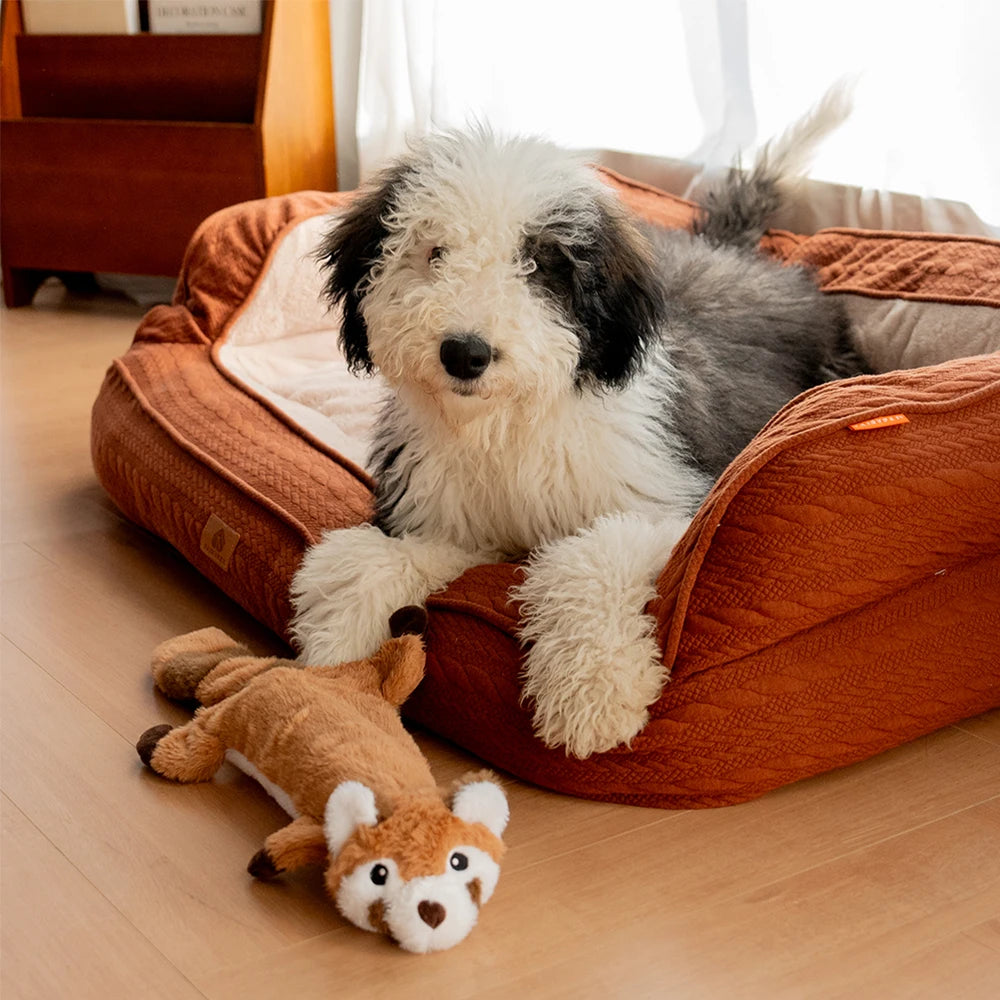 Brinquedo de Pelúcia Guaxinim para Cães - Colleira