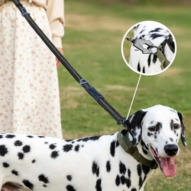 Trela Tática Refletiva com Cinto de Segurança para Cães Grandes