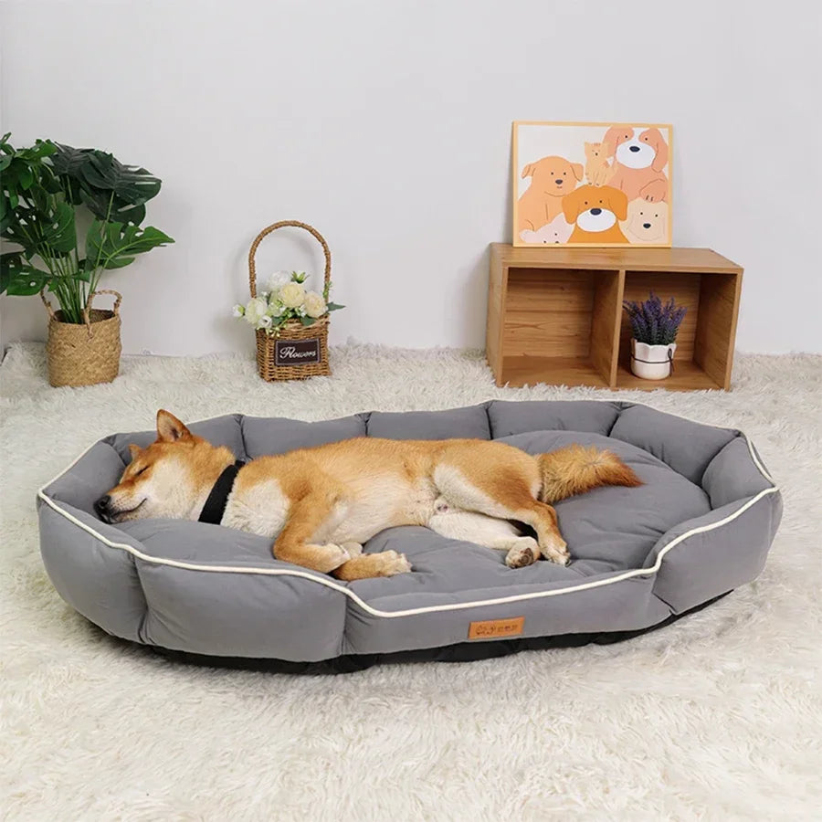 Cama Luxuosa para Pets - Conforto e Estilo Colleira