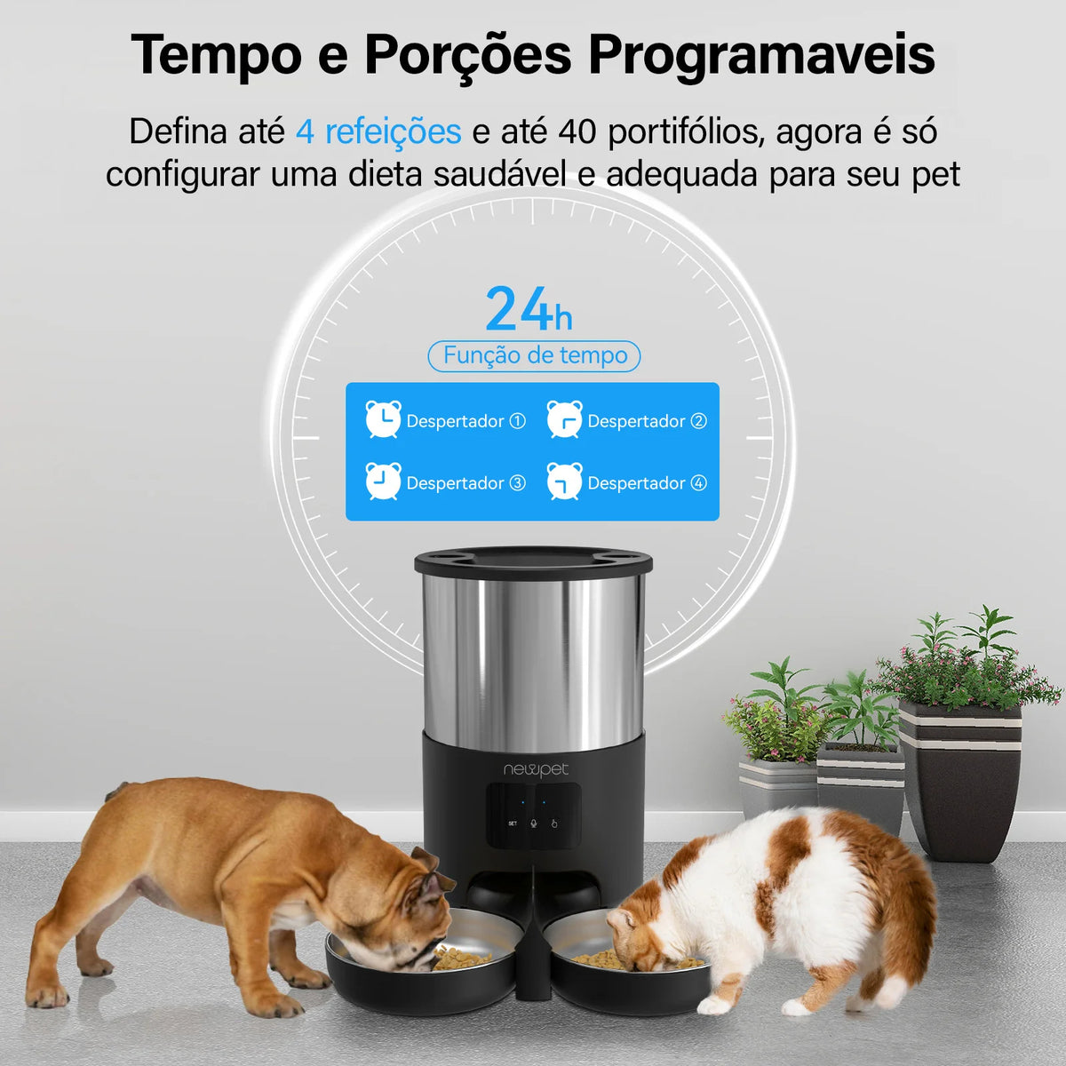 Alimentador Automático WiFi para Gatos - Colleira