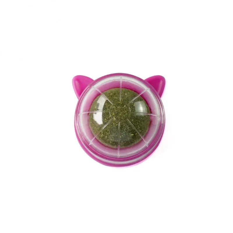 Brinquedo de Catnip para Gatos - Colleira