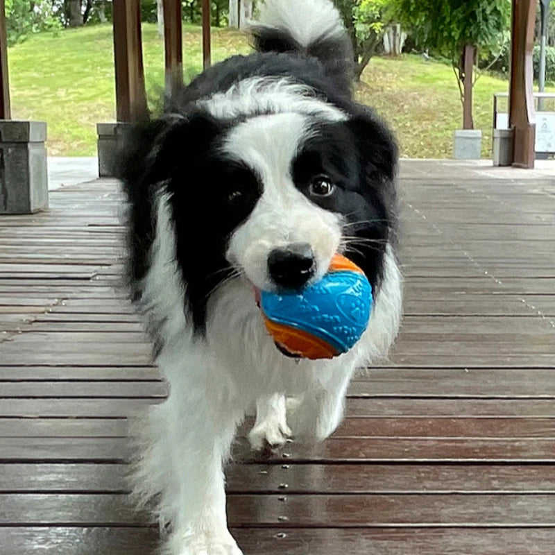 Bola Squeaky para Cães - Limpeza e Diversão Garantida