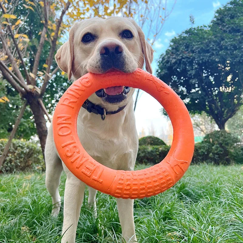 Anel Extrator Interativo para Cães - Colleira