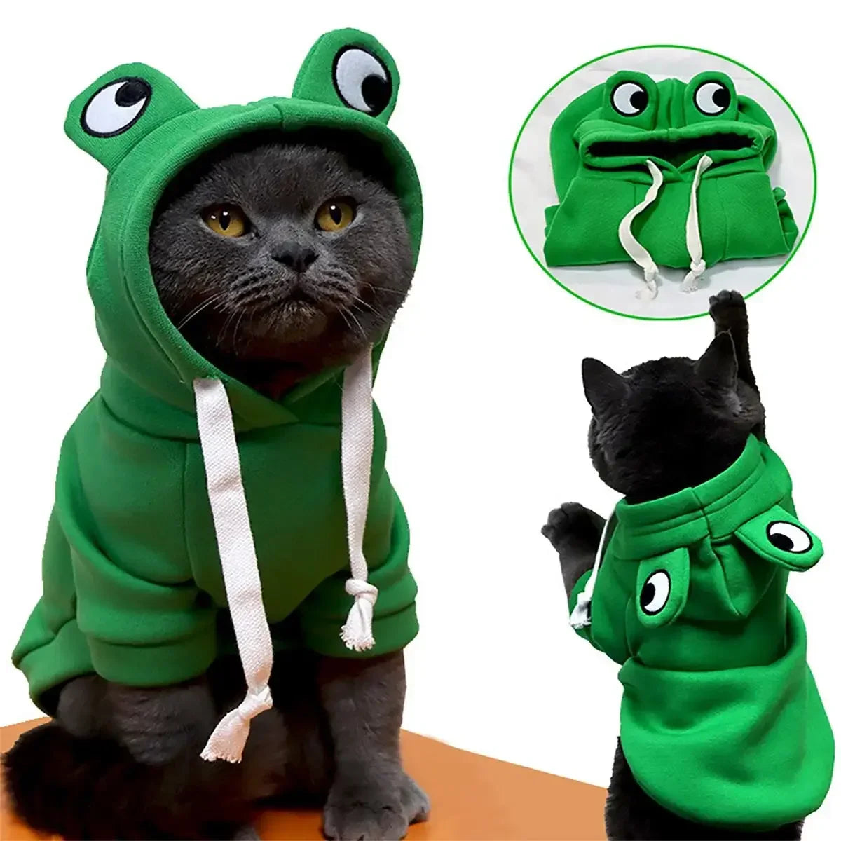 Moletom de Sapo para Pets - Fantasia de Halloween