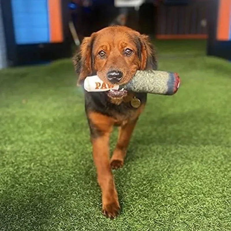 Brinquedo de Pelúcia Interativo para Cães - Colleira