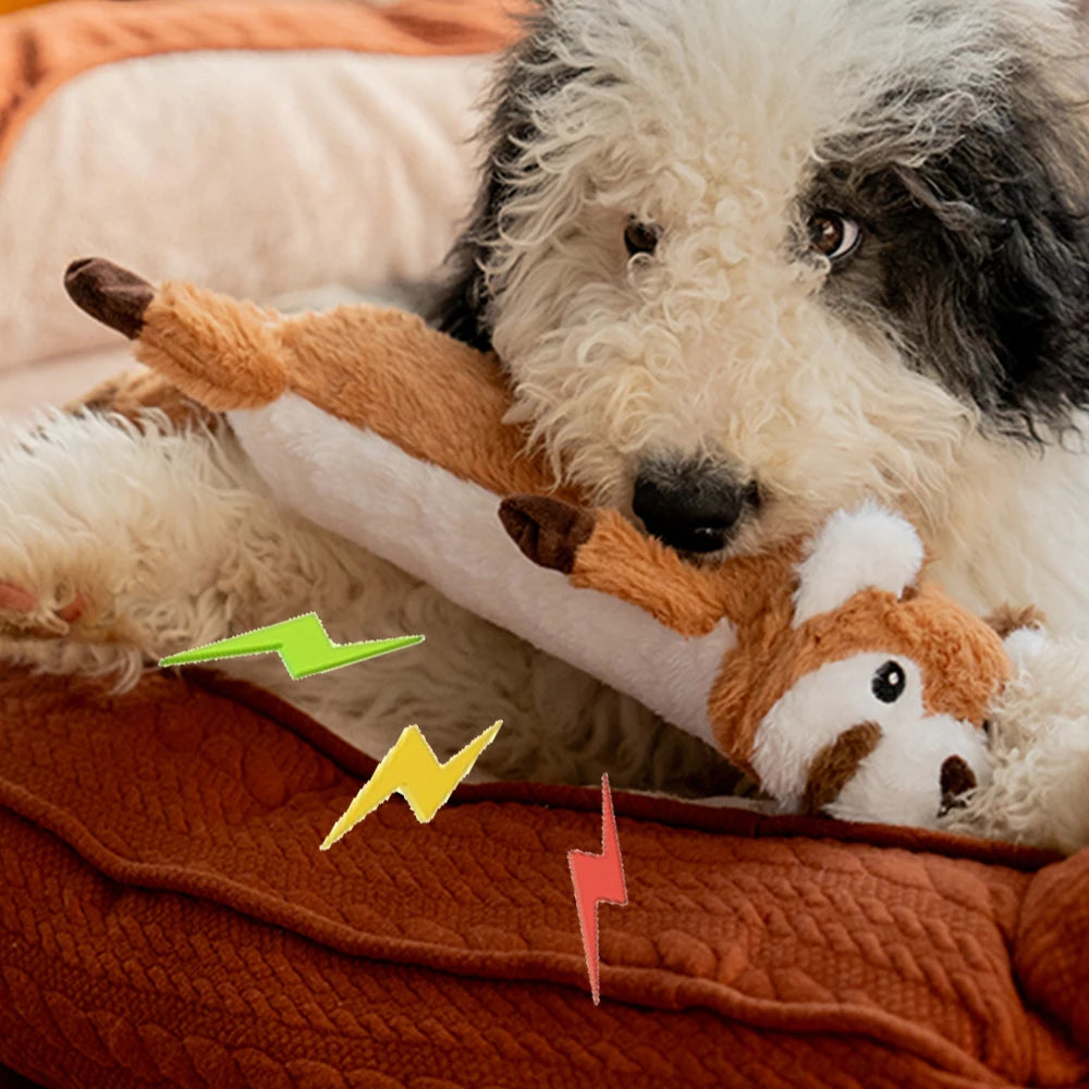 Brinquedo de Pelúcia Guaxinim para Cães - Colleira