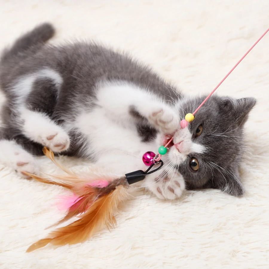 Varinha Interativa com Pena para Gatos - Colleira