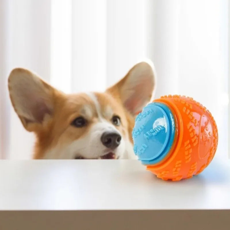 Bola Squeaky para Cães - Limpeza e Diversão Garantida